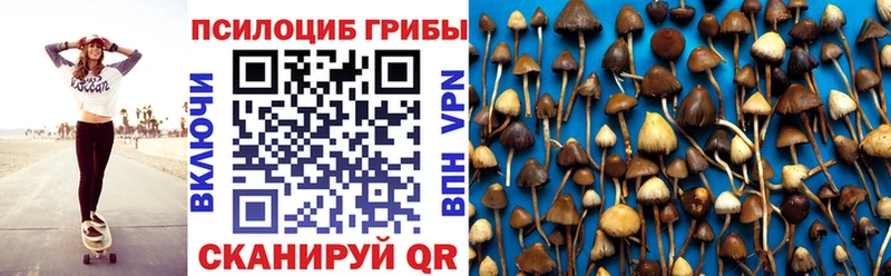 Галлюциногенные грибы прущие грибы  закладка  Трубчевск 
